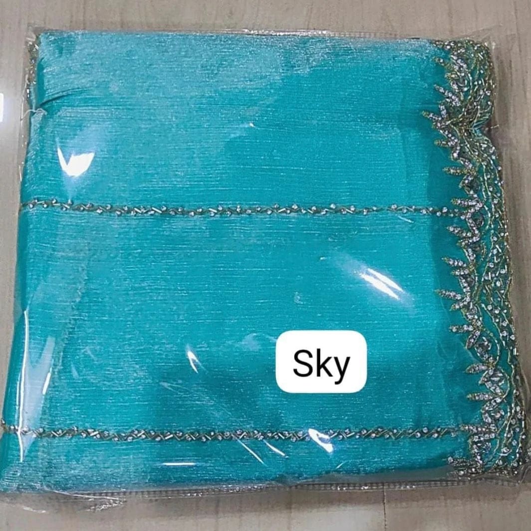 Zimmy Choo Saree pure Handwork ston work saree