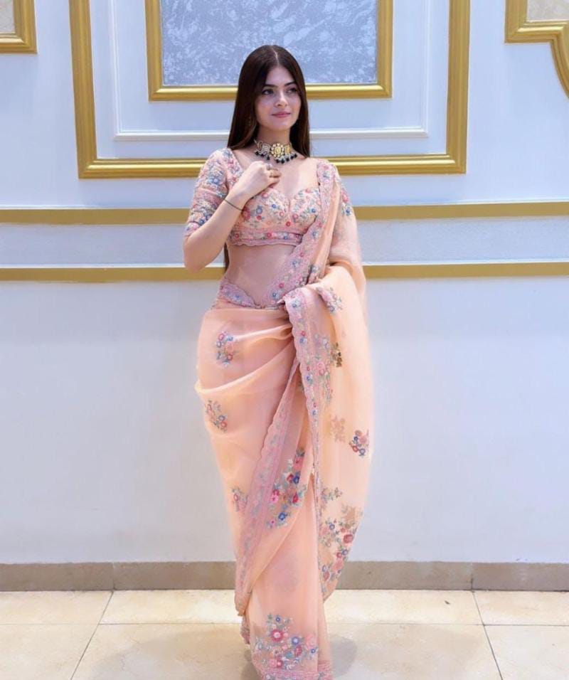 Pure organza saree
