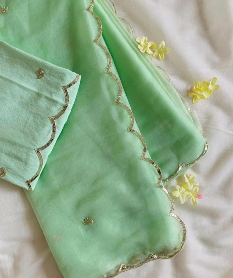 pure organza saree with beautiful handwork