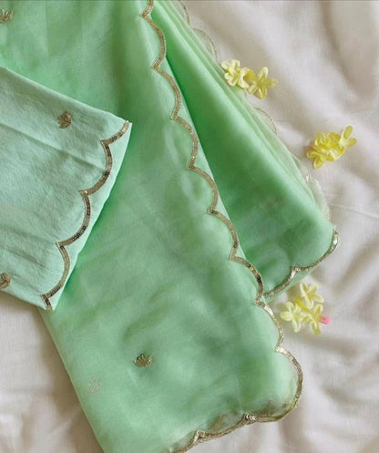 pure organza saree with beautiful handwork