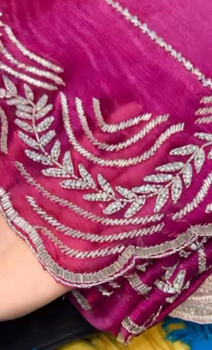 Party Wear Jimmy Choo Handwork Saree