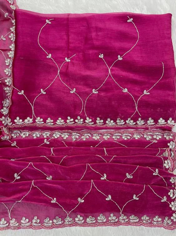 Party Wear hand work Jimmy Choo Saree