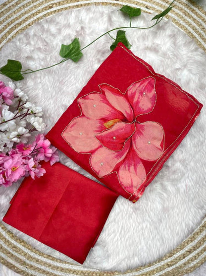 Tebby Organza hand work Saree