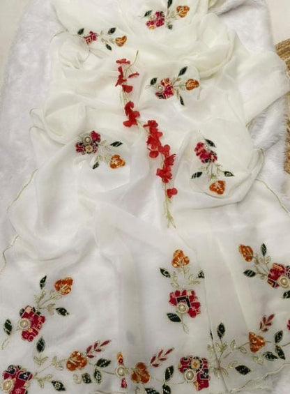 Women,s fandy chiffon  fancy saree