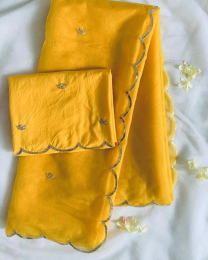 pure organza saree with beautiful handwork