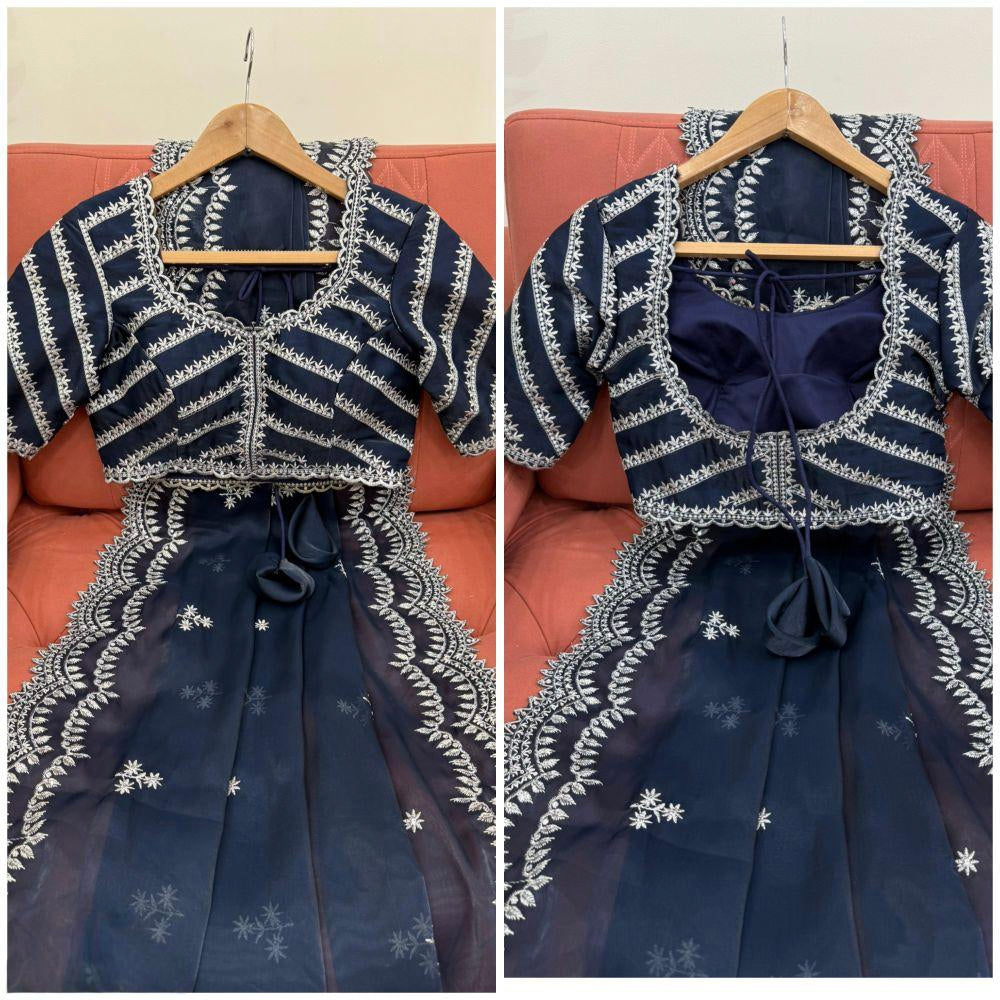 Jimmy Choo saree Embroidery Work