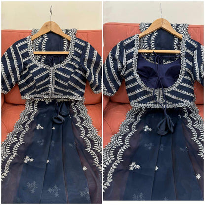 Jimmy Choo saree Embroidery Work