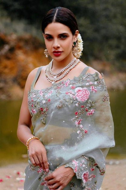 Organza silk work saree